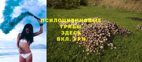 кристаллы Дмитриев