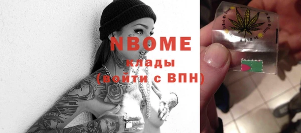 твердый Дмитровск