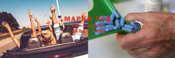 гидра Елабуга