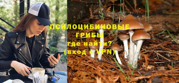 кристаллы Дмитриев