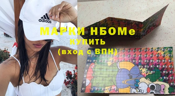твердый Дмитровск