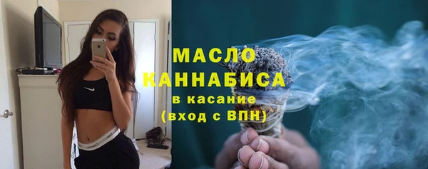 твердый Дмитровск