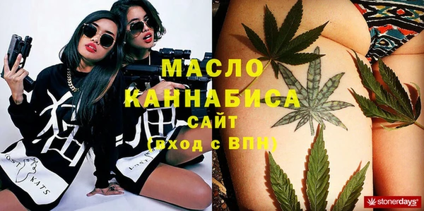твердый Дмитровск