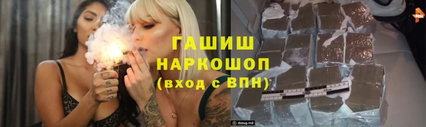 гидра Елабуга