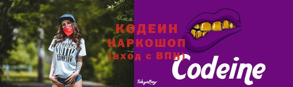 spice Ельня