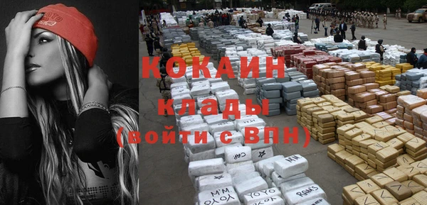 spice Ельня
