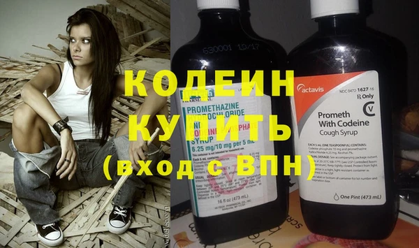 твердый Дмитровск