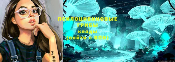 кристаллы Дмитриев