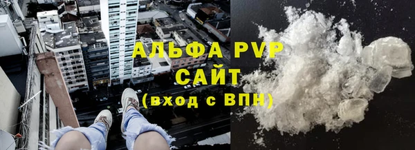 стафф Гусев