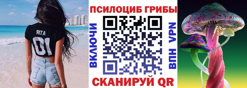 Псилоцибиновые грибы Psilocybe  Конаково 