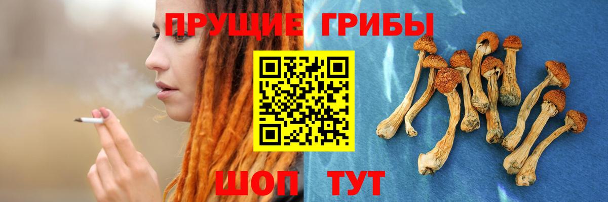Псилоцибиновые грибы GOLDEN TEACHER Конаково